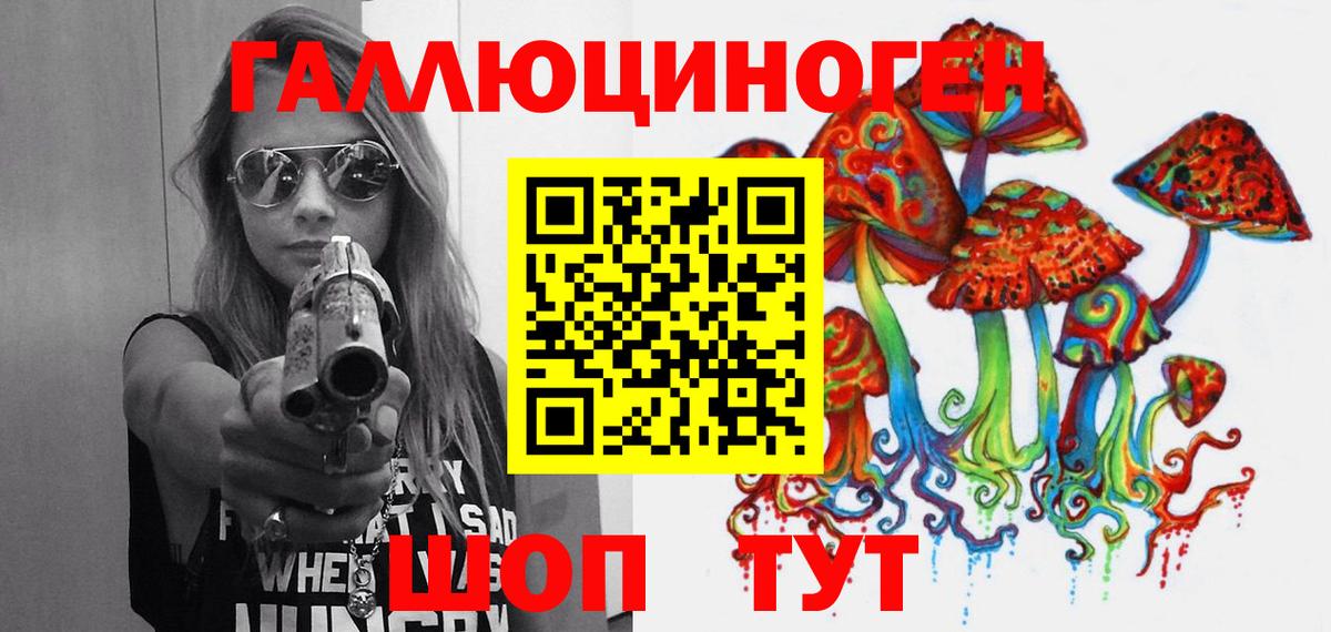 Галлюциногенные грибы Psilocybe Урюпинск