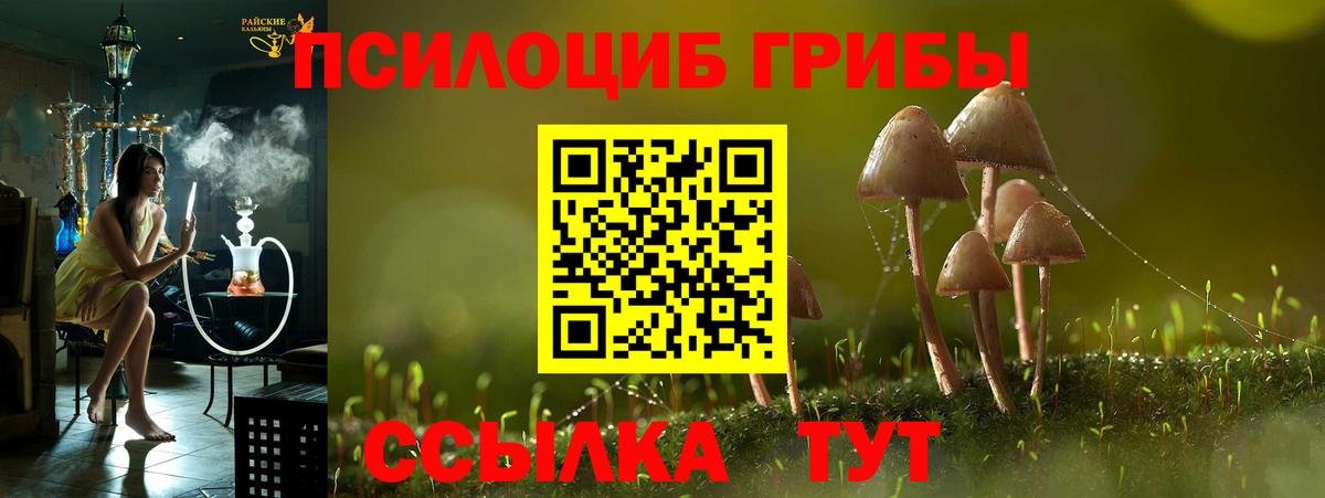 что такое наркотик  Урюпинск  Псилоцибиновые грибы Psilocybine cubensis  Галлюциногенные грибы прущие грибы 
