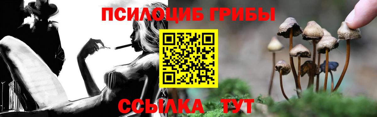 Псилоцибиновые грибы Psilocybe  Галлюциногенные грибы прущие грибы  Вход с VPN  Урюпинск 